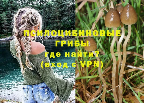 первитин Армянск