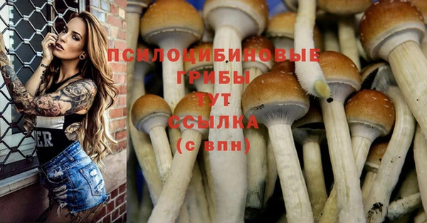 первитин Армянск