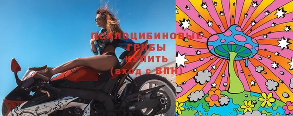 первитин Армянск