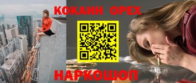 дмт Гай
