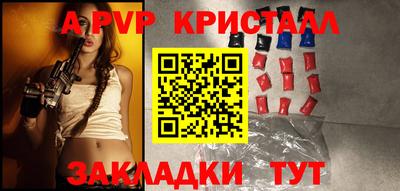 дмт Гай