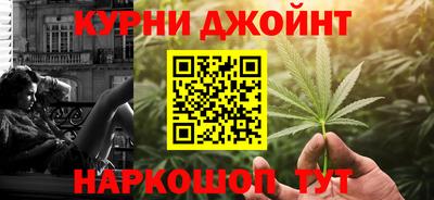 дмт Гай