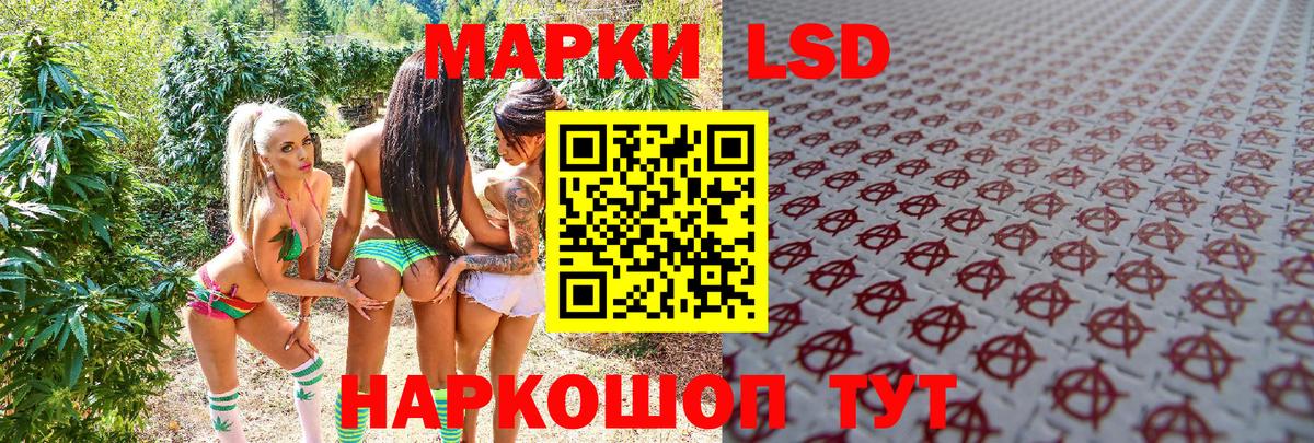 Дальнегорск  цены наркотик  Вход с VPN  Марки N-bome 1500мкг 