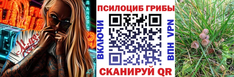цены   Дальнегорск  Псилоцибиновые грибы MAGIC MUSHROOMS 