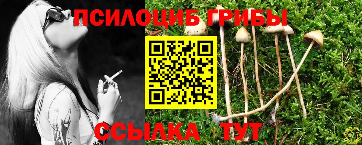 Дальнегорск  Галлюциногенные грибы Cubensis  Вход с VPN 
