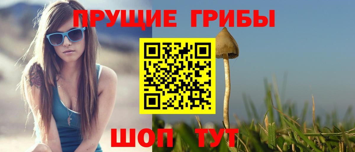 Псилоцибиновые грибы Psilocybine cubensis Дальнегорск